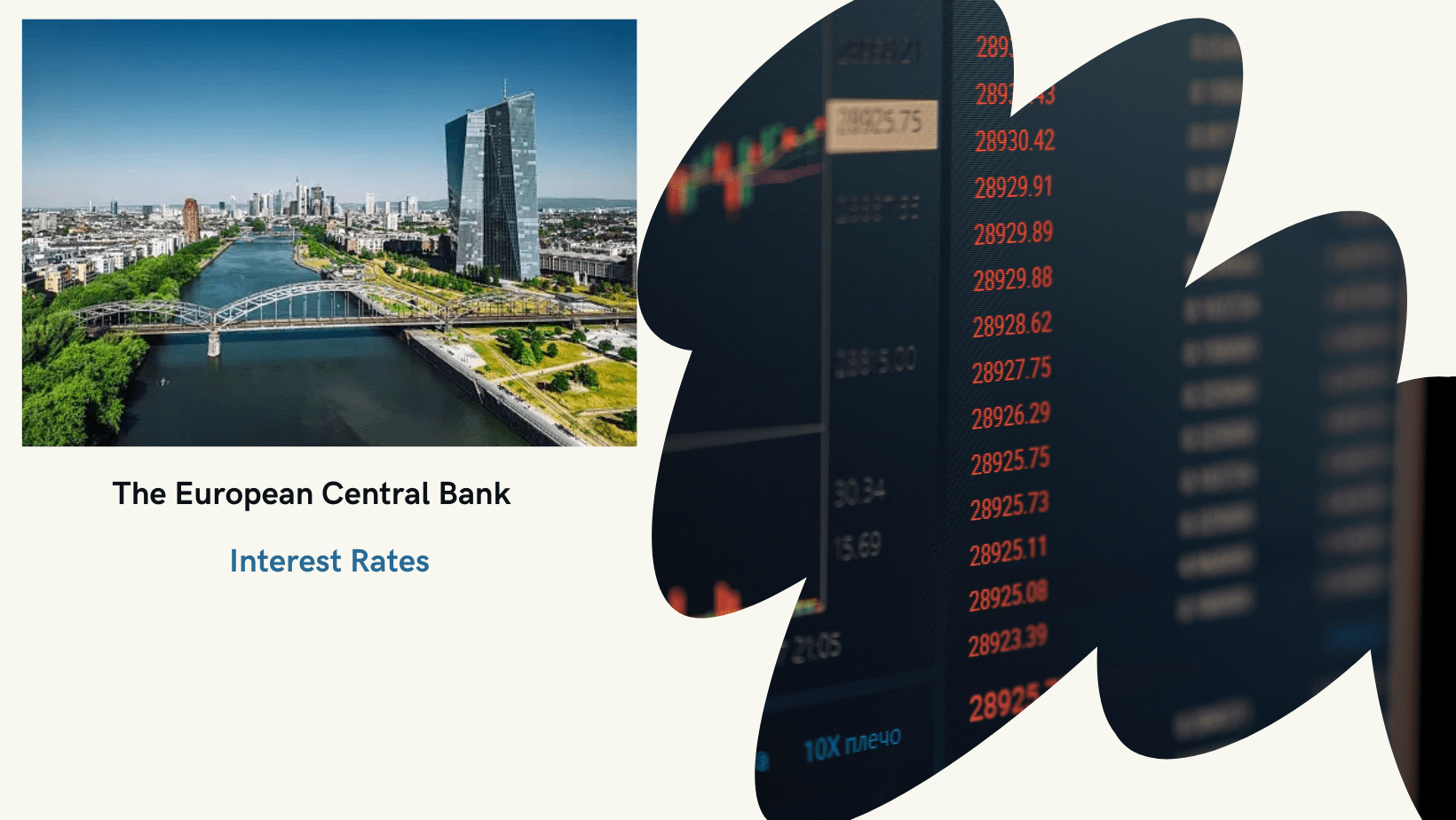 The European Central Bank Gears Up for a Crucial Meeting of 2024